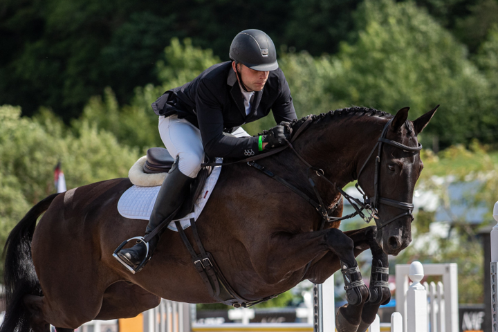 Horse Leaping Over Fence