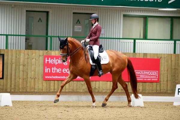 Dressage-Show