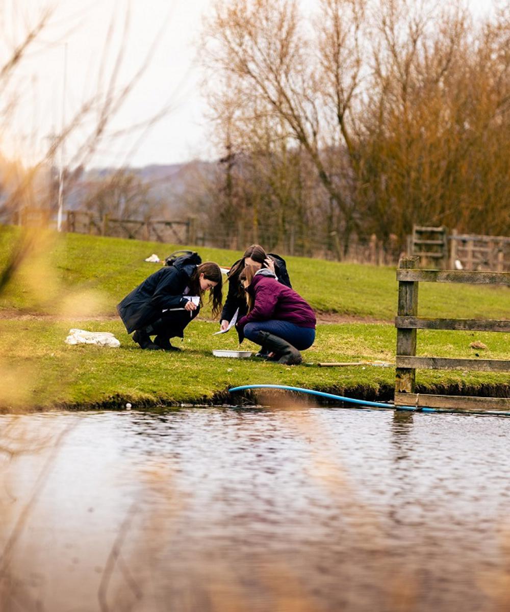 Bsc Hons Biological Sciences