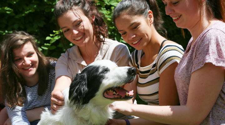 University Animal Students