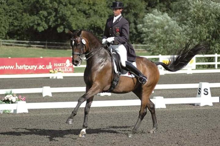 2000 European Young Riders Championships