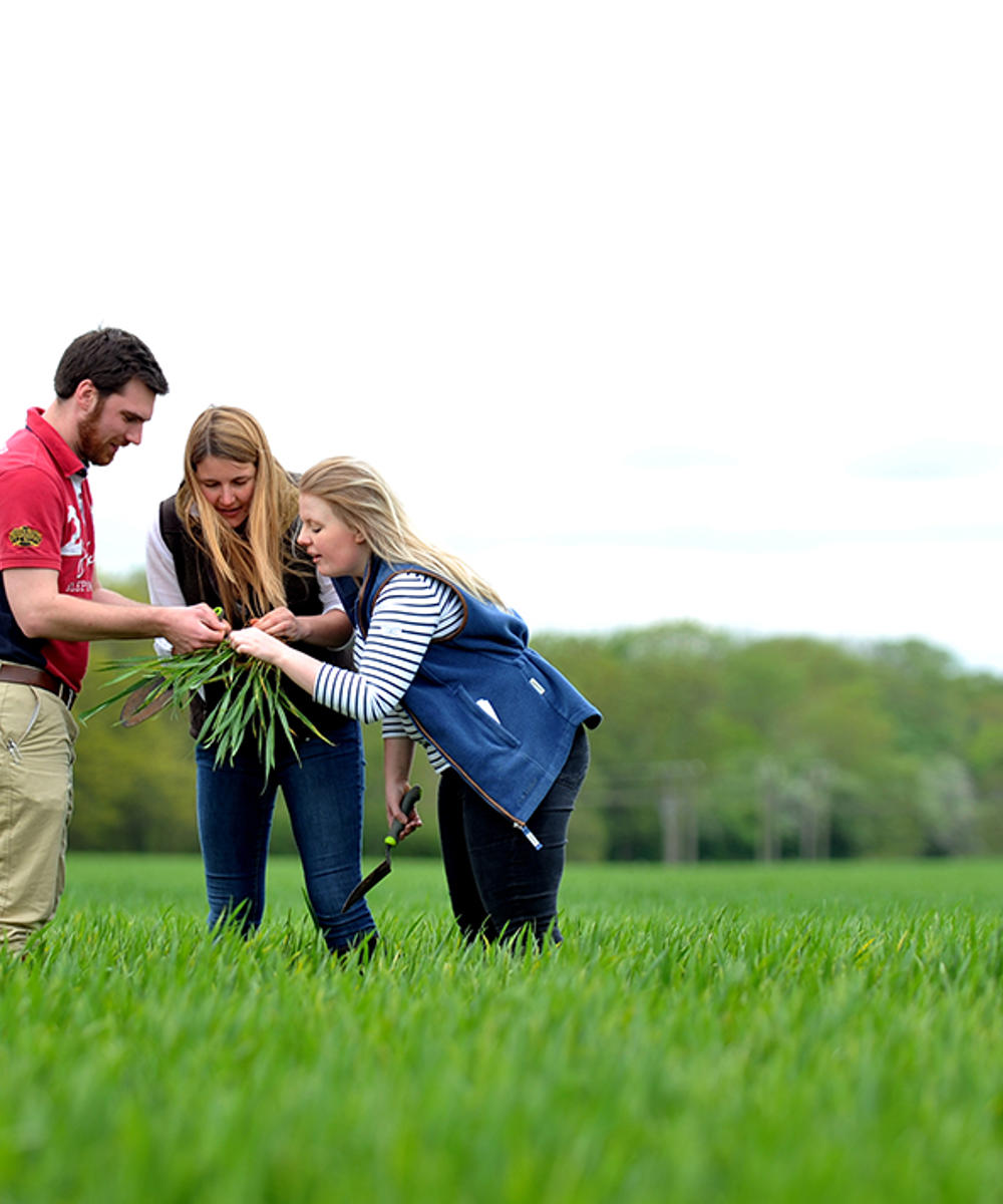 BSc Hons Agriculture With Crop Science Hartpury University bsc-hons-agriculture-with-crop-science-hartpury-university