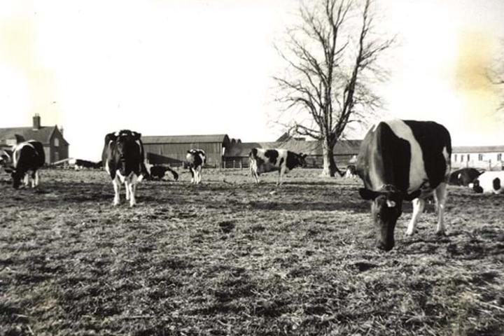 1987 Pupil Wins Farm Apprentice Of The Year