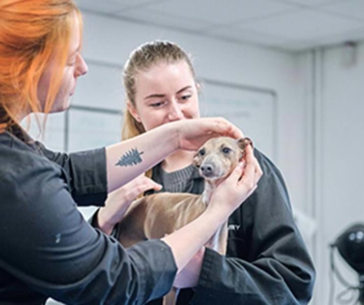 Students With Dog Cop