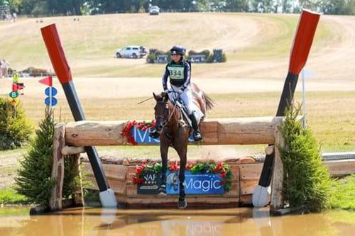 A person riding a horse over a jump