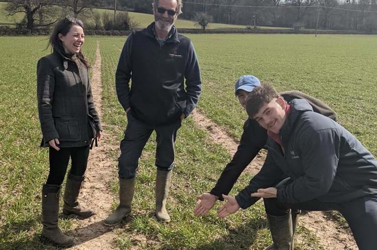 Emily Crop Walk