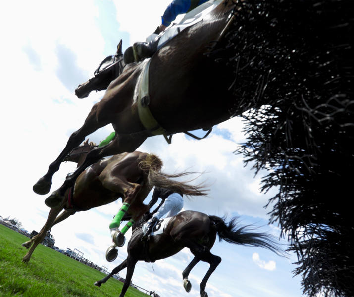 Horse Jumping Over Fence