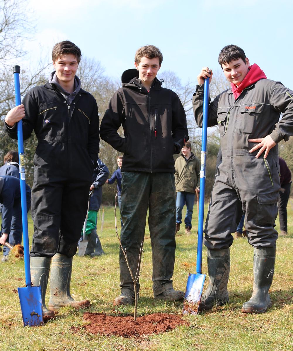 Community Tree Planting