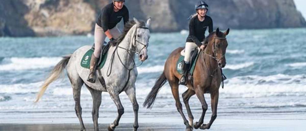 Horses-On-Beach