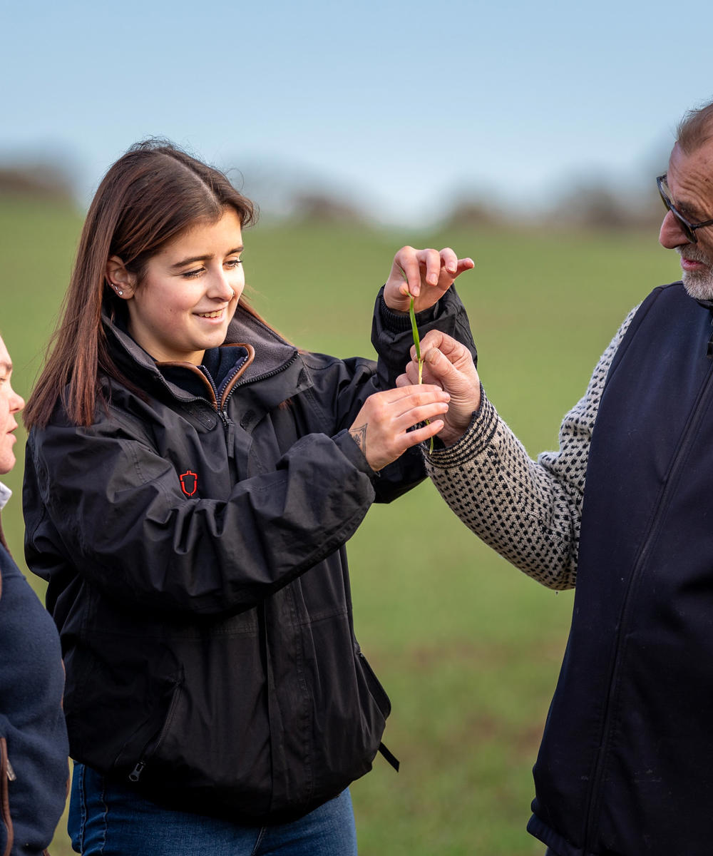 Crop Health Check University Agriculture