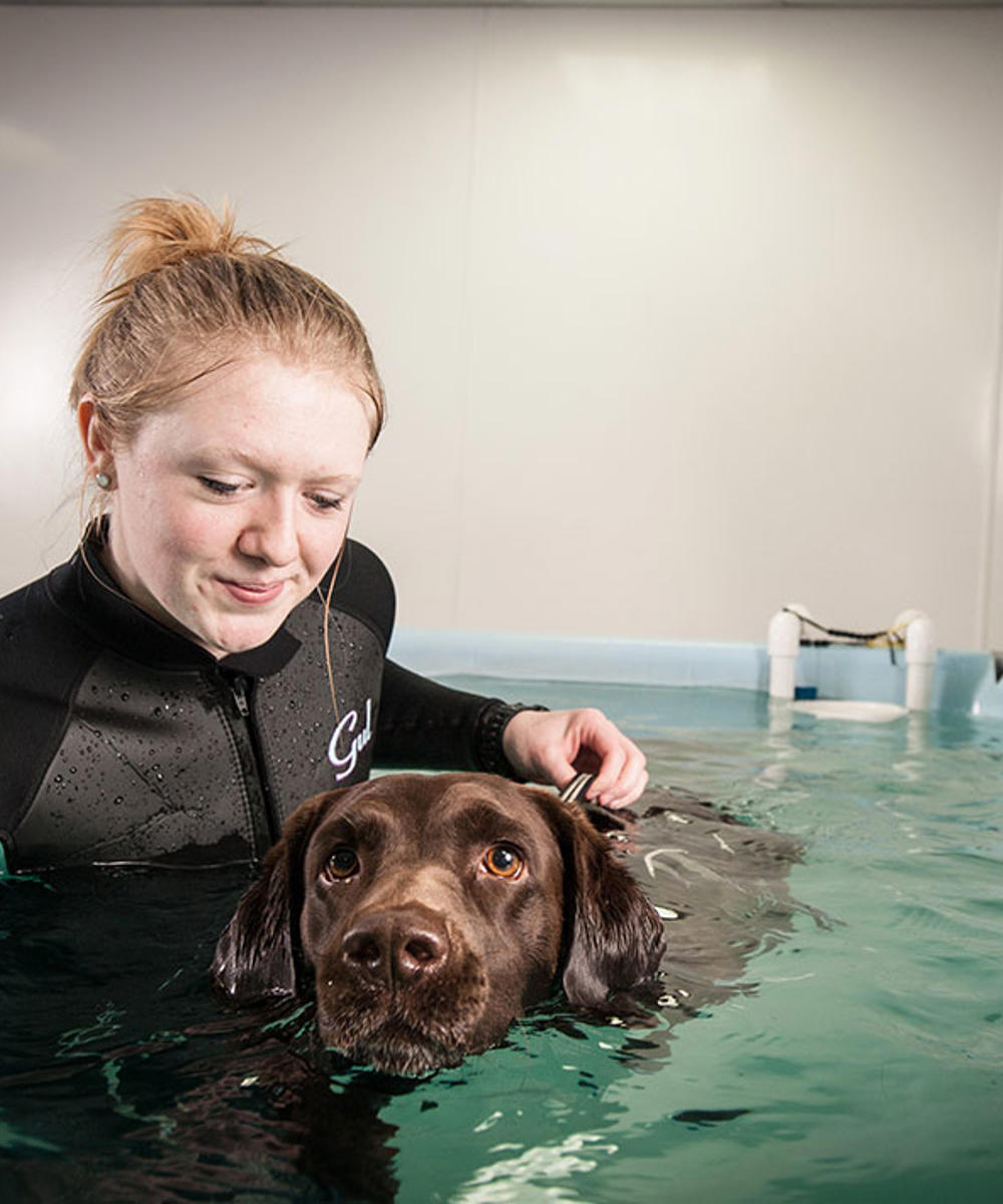 Bsc Hons Applied Animal Science With Therapy