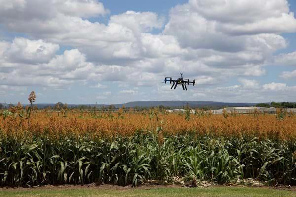 Drone-Over-Fields