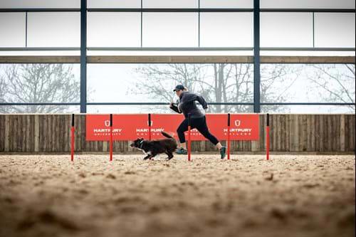 A person running with a dog